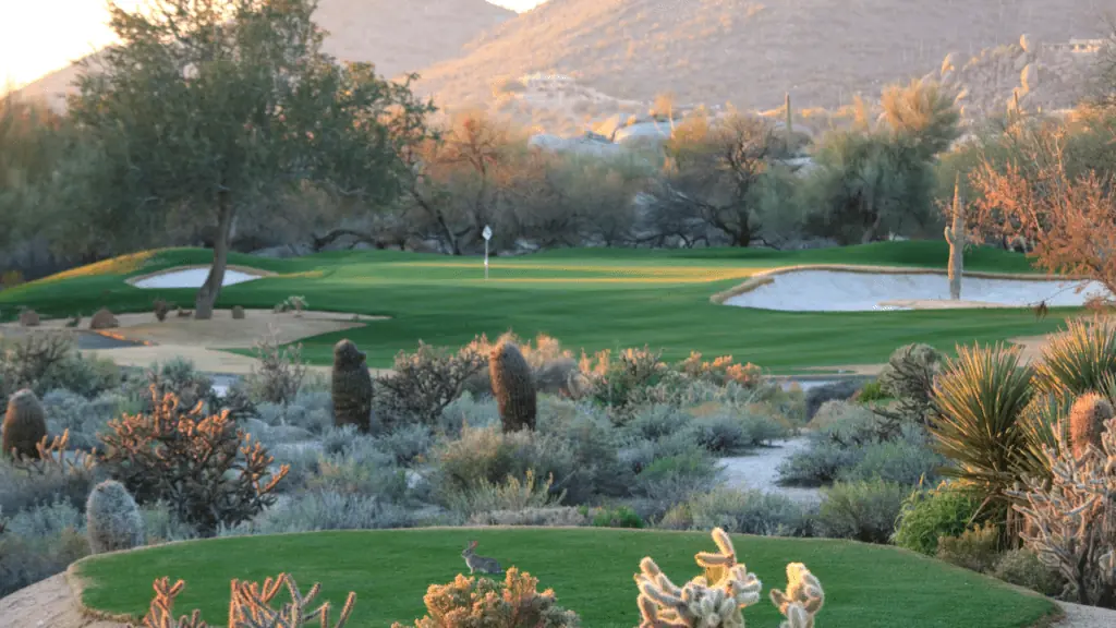 Scottsdale, Arizona golf course view