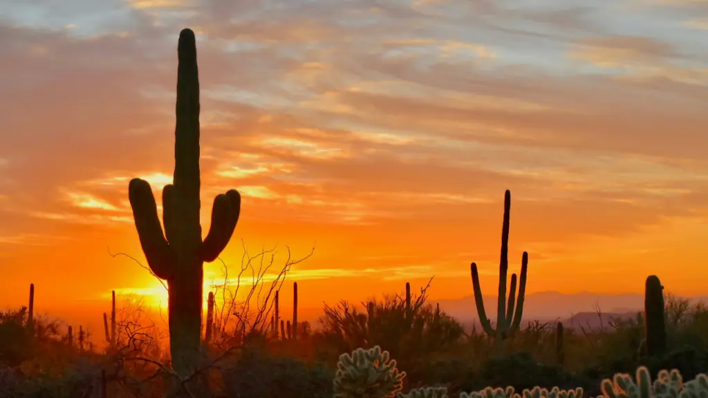 showing a sunset in Scottsdale Arizona