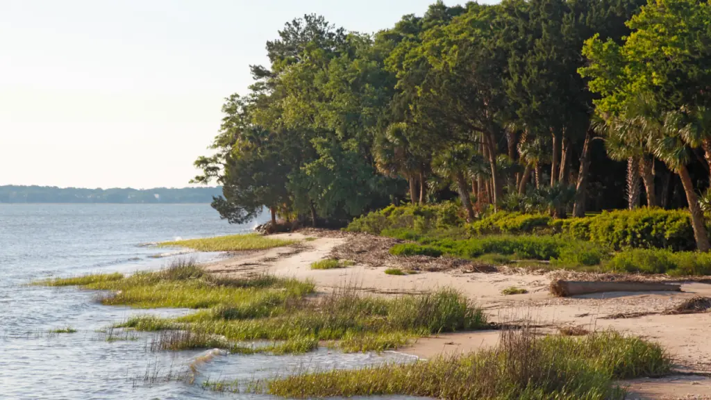 Daufuskie Island showing the beautiful scenery near the water with trees and water.