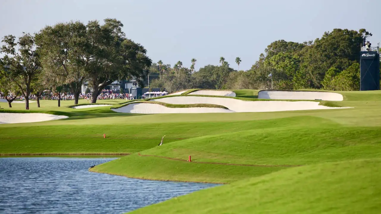 Pelican Golf Club Belleair Florida showing a photo of the 17th green.